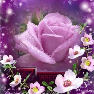 Meet your Posher, Linn